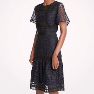 NWT Ann Taylor Embroidered Lace Dress Short Sleeve Ruffle Hem Dark Blue Size 8